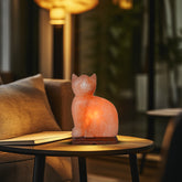 Cozy Cat